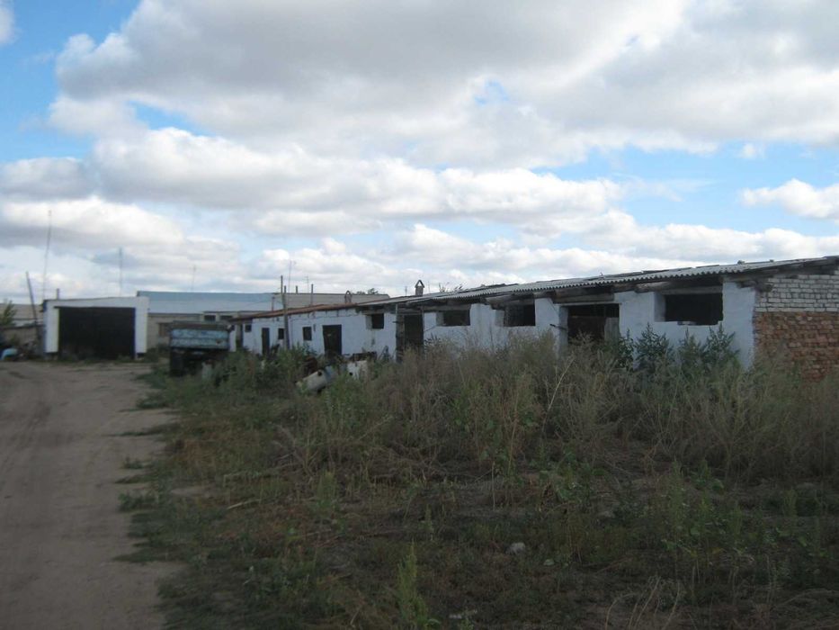 продам два дома в с. Новоямышево