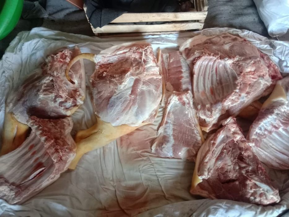 Продам  домашние свиное мясо
