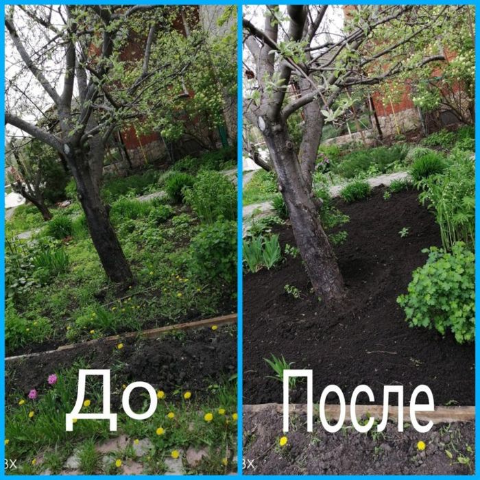 Садовник посадка деревьев цветов кукаламзорлаштириш, кучат экин экиш.