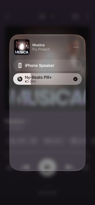 Vand Boxa Beats by Dr. Dre Pill+