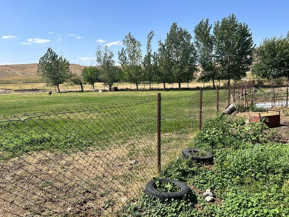 Продается кошара/Фазенда, мал қора