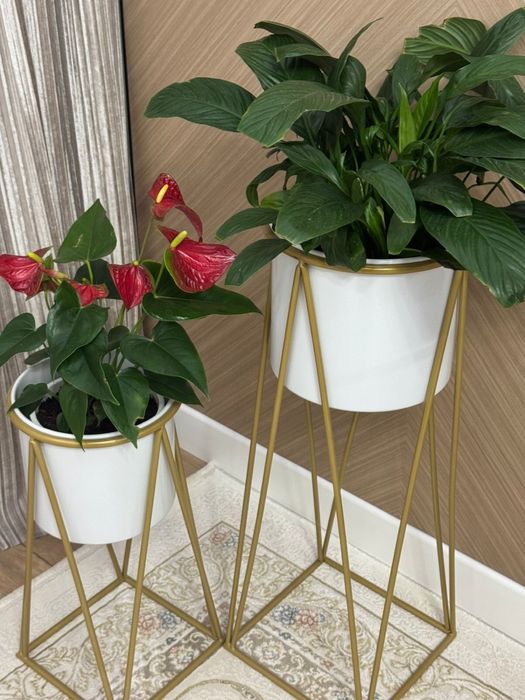 Кашпо под цветы дома