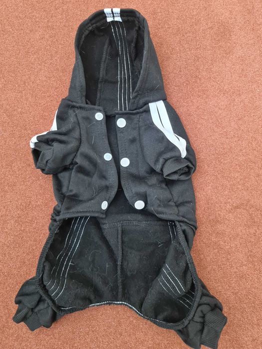 Новый костюм для кошек и собак.