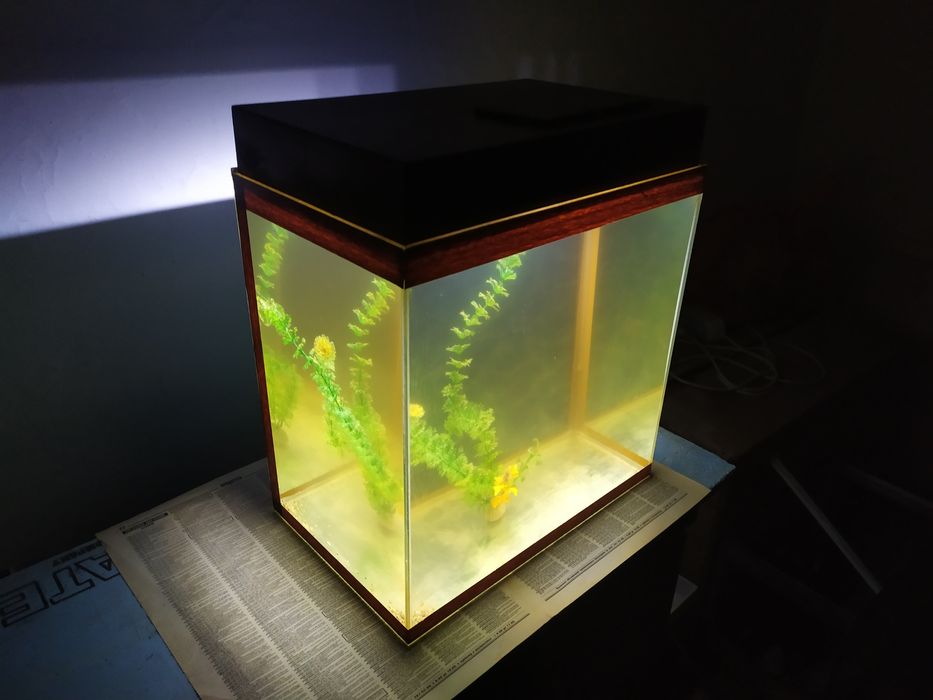 Аквариум 41л + бонусы и рыбки.