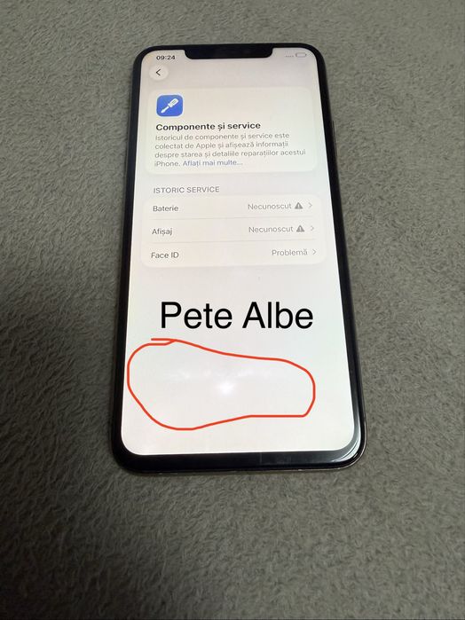 iPhone 11 Pro Max /256GB /Neverlock /fara iCloud