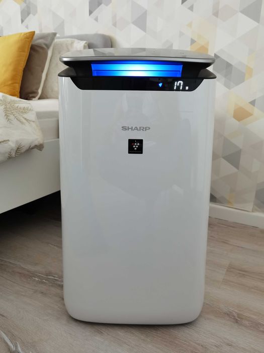 Purificator aer SHARP Plasmacluster FPJ60EUWHEPA, ionizare