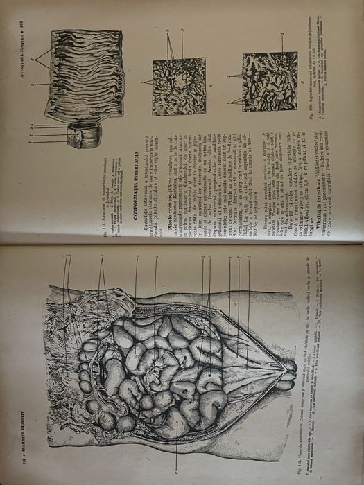 Carti Anatomia omului