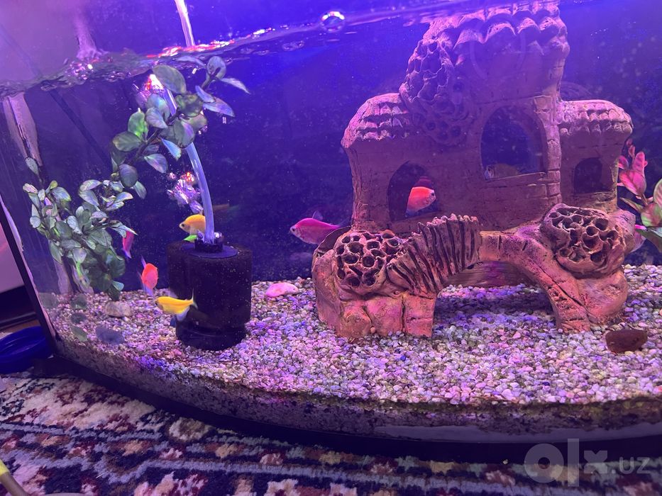 Akvarium baliqlar kislorod compressor kompressor