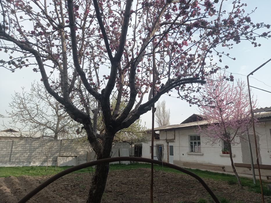 Участок, ховли срочно продаётся