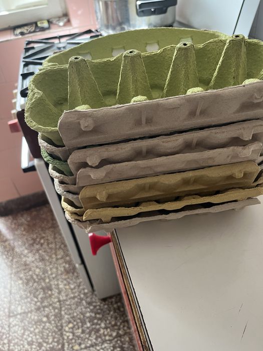 Cofraje pentru 10 oua