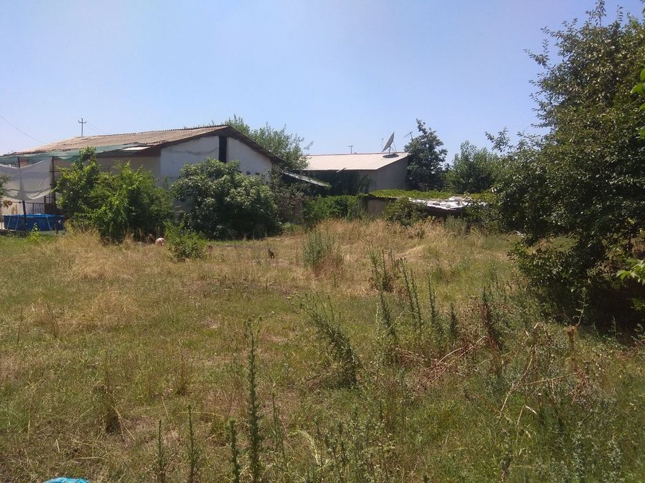 Yer sotladi sirochniy Yangi yol tumani  5.3 sotik
