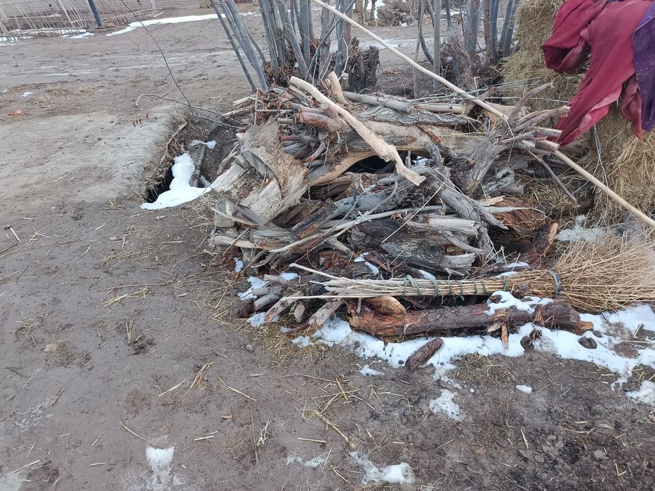 Har xil turdagi yirik_mayda tunka oʻtinlar sotiladi