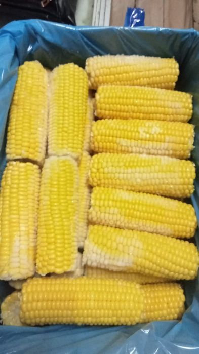 vand porumb congelat ( porumb de fiert , dulce semizaharat zaharat ]