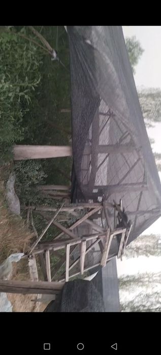 Uchastka sirochni sotiladi