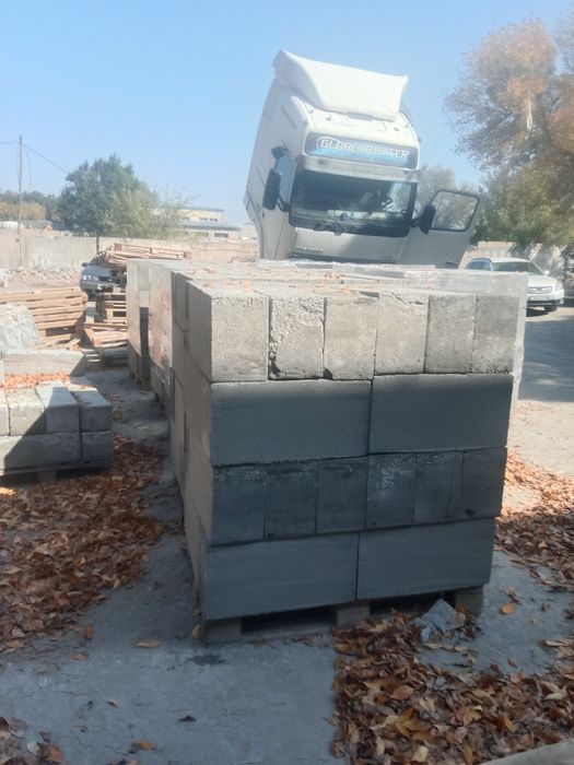 Газоблок 20*30*60