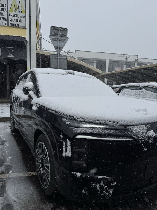 Denza N8L Full Position