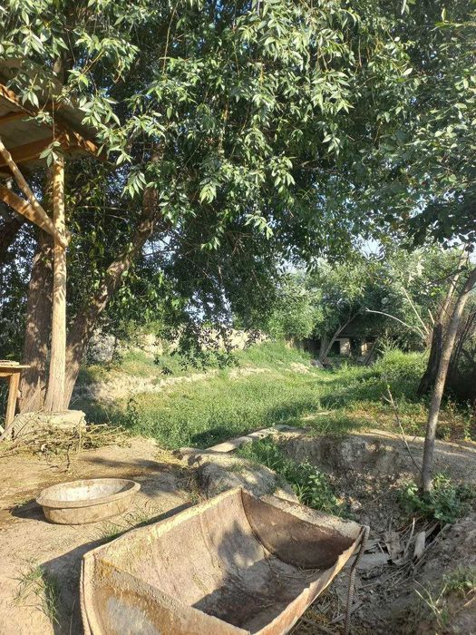 Продается дом участок, участка ховли сотилади 16 соток