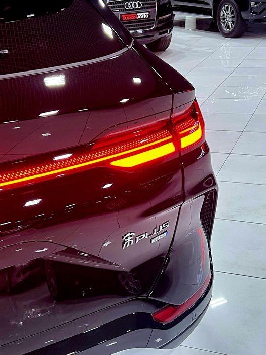 BYD champion 2025 SMART+