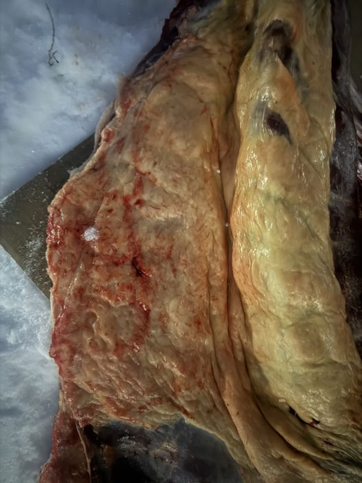 байтал 2800 тг кг