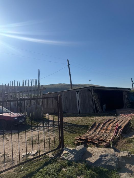 мал шаруашылыгы сатылады