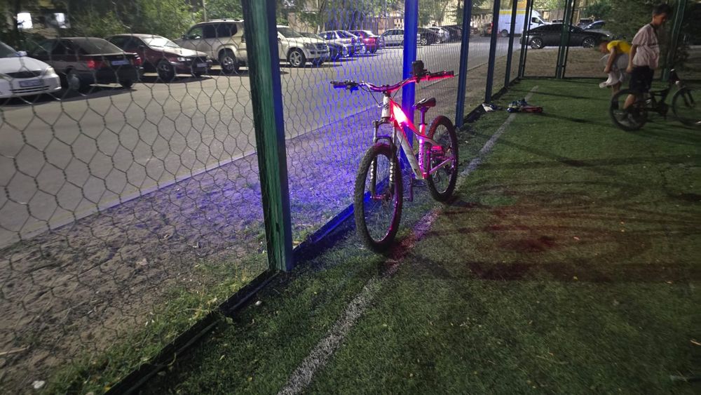 Велосипед IIEREC L 100