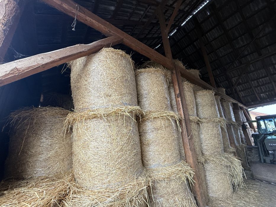 Baloti de ovaz+lucerna