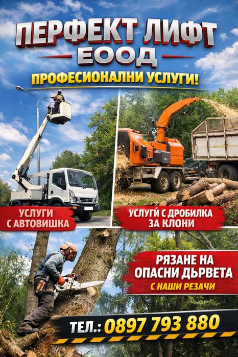 Услуги с автовишка Рязане на опасни дървета