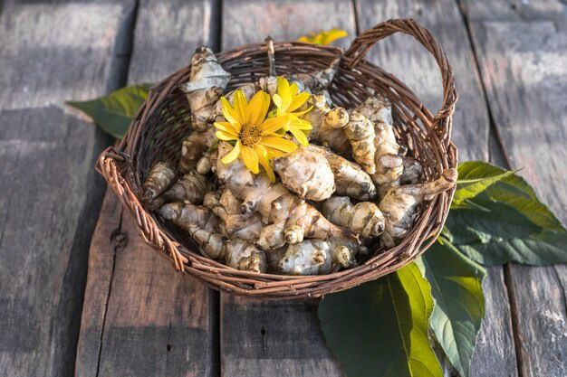 50  Rasaduri  "plante "rizomi tineri)   Topinambur   Organic   Soi   Australian