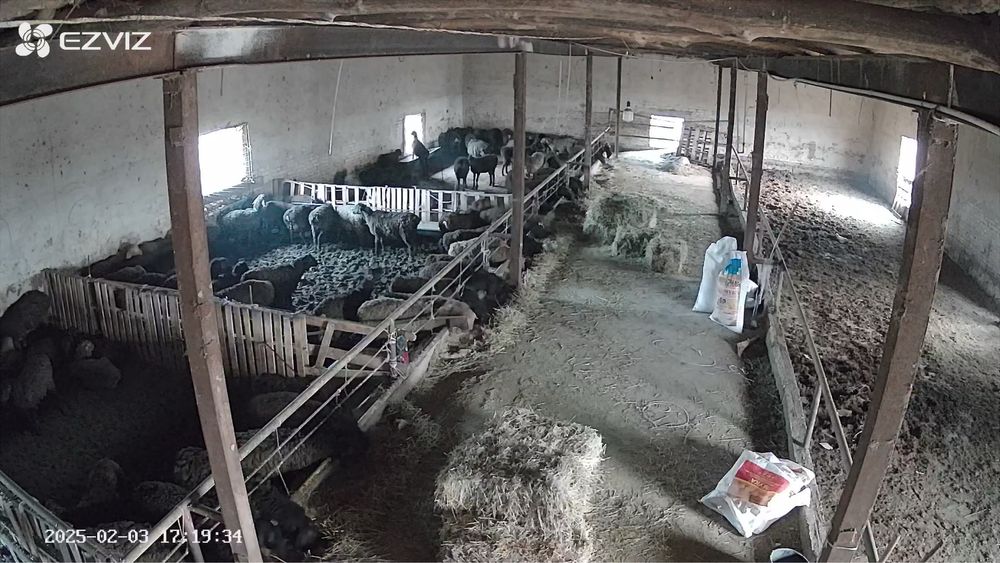 Ferma yoki  Ishlab chiqarish uchun yer noturar bino sotiladi