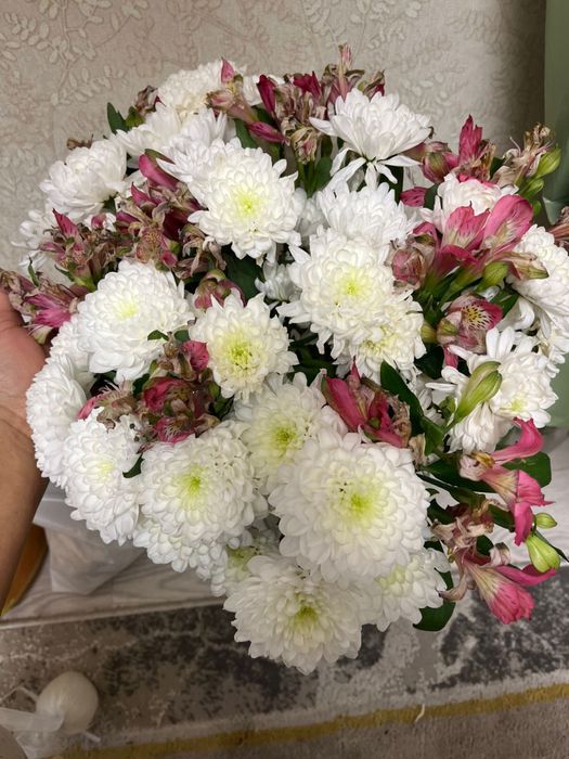 Продам цветы свежие