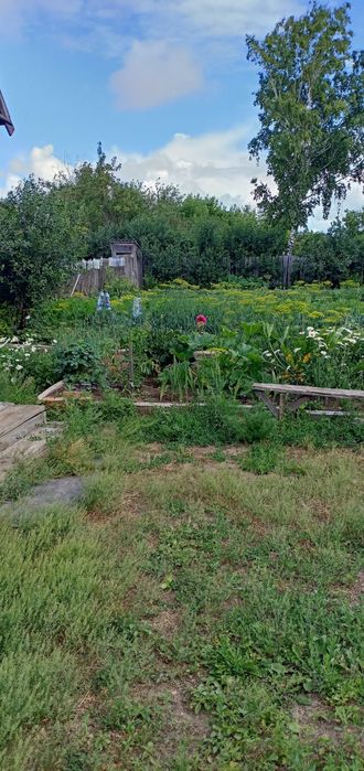 Продам дачу в Д/о Золотая осень