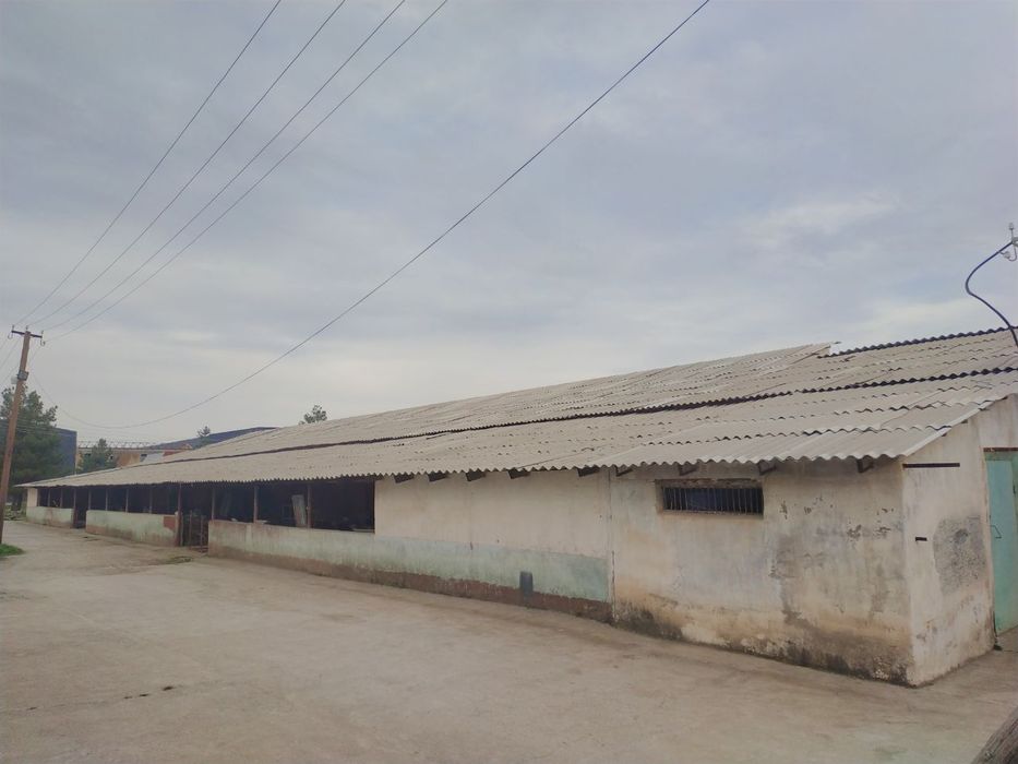 Нежелой ер сотилади Кибрай Байткургое