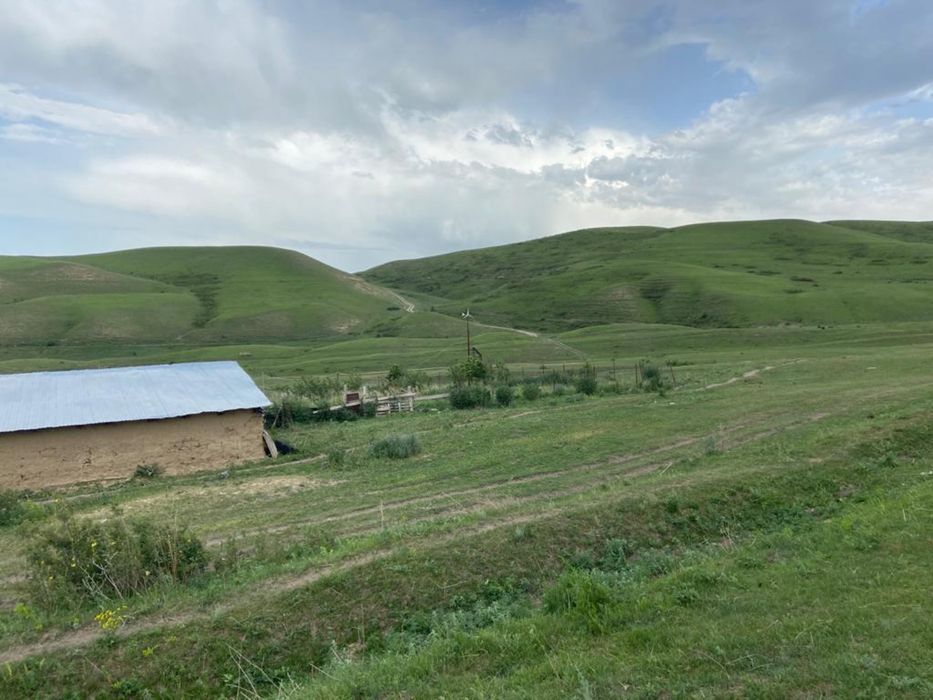 Фазенда, Кашар, Хозяйство