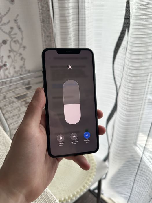 Iphone 11 pro max (256 gb)