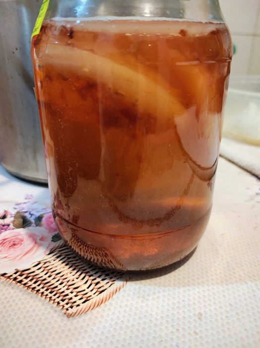 Ciuperca Kefir de lapte si ciuperca kefir de apa