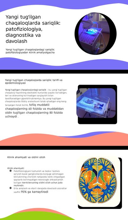 Услуга по переводу текста