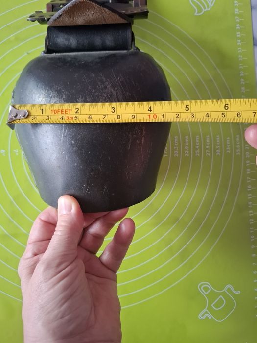 Швейцарска хлопка