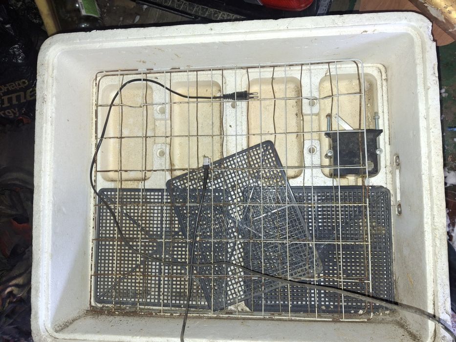 Продам инкубатор на 77 яиц