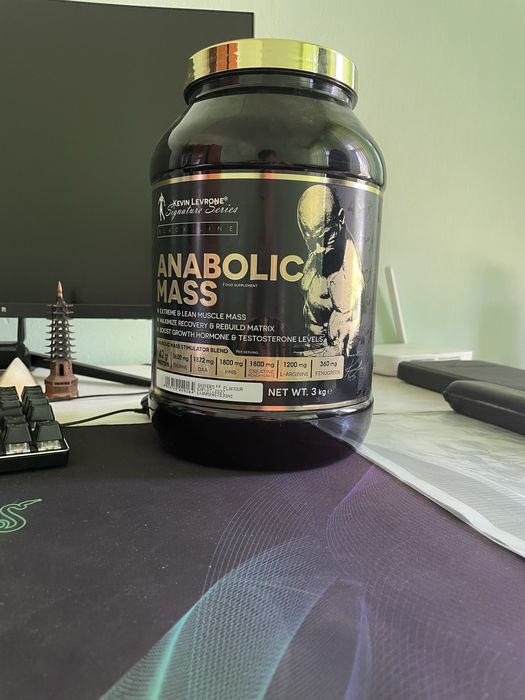 KV MASS GAINER 3 kg 100%