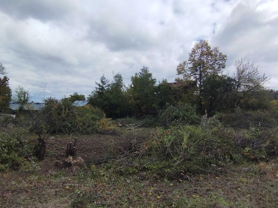 Почистване на терени от дървета и храсти