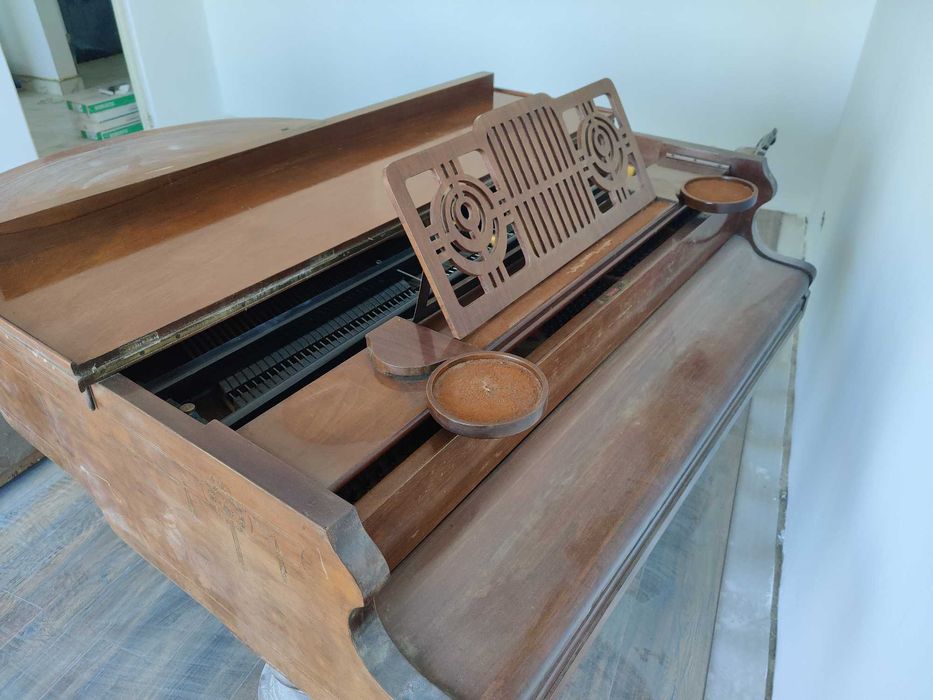 Pian vienez/maghiar concert