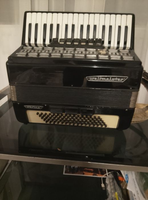 Acordeon weltmeister serino
