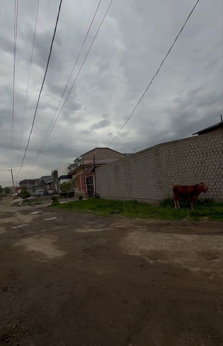 2sotix yer sotiladi Honabod Gofur diyor 2ta tarafi kocha tarsavoy