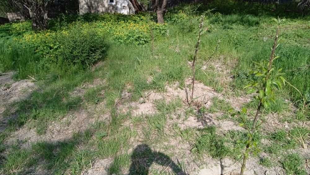 Продам дачный участок