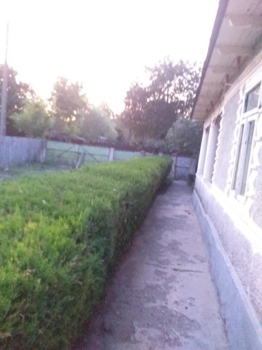 Casă de vanzare Lanurile