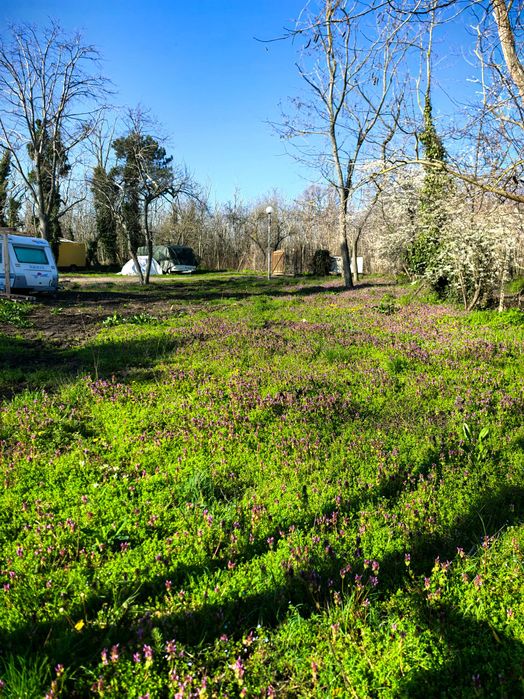 Къмпинг Енерджи - стационарни места за каравани близо до Варна