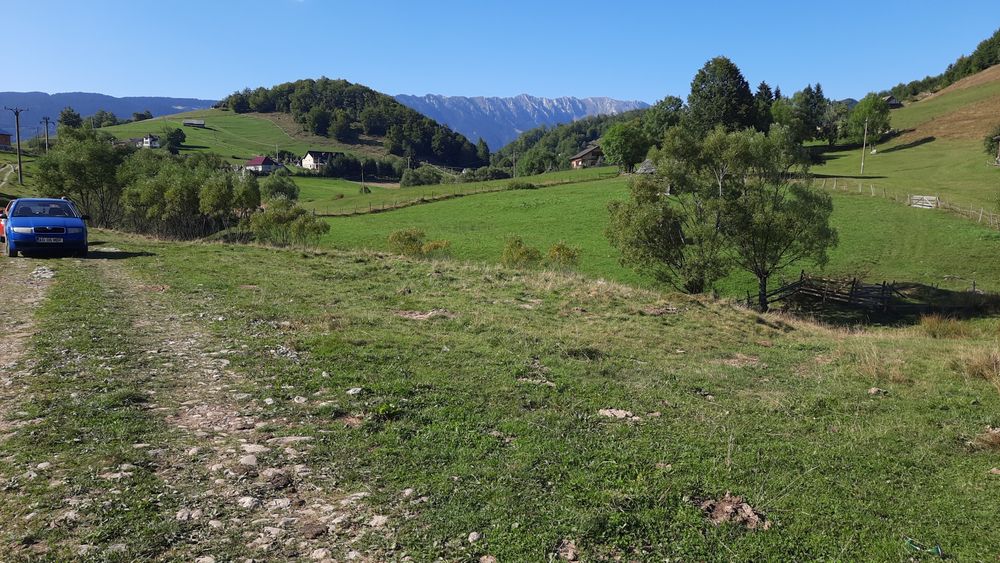 Teren la munte Dambovicioara Ciocanu Satic