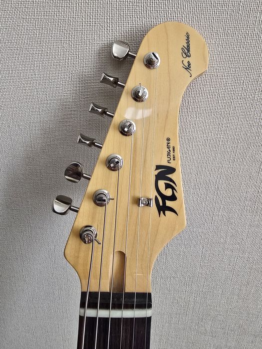 Продам электрогитару FGN