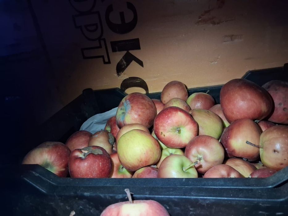 Яблоки второго сорта