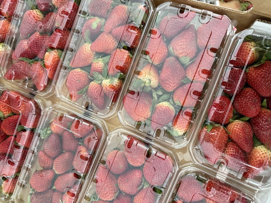 Египетская клубника свежая